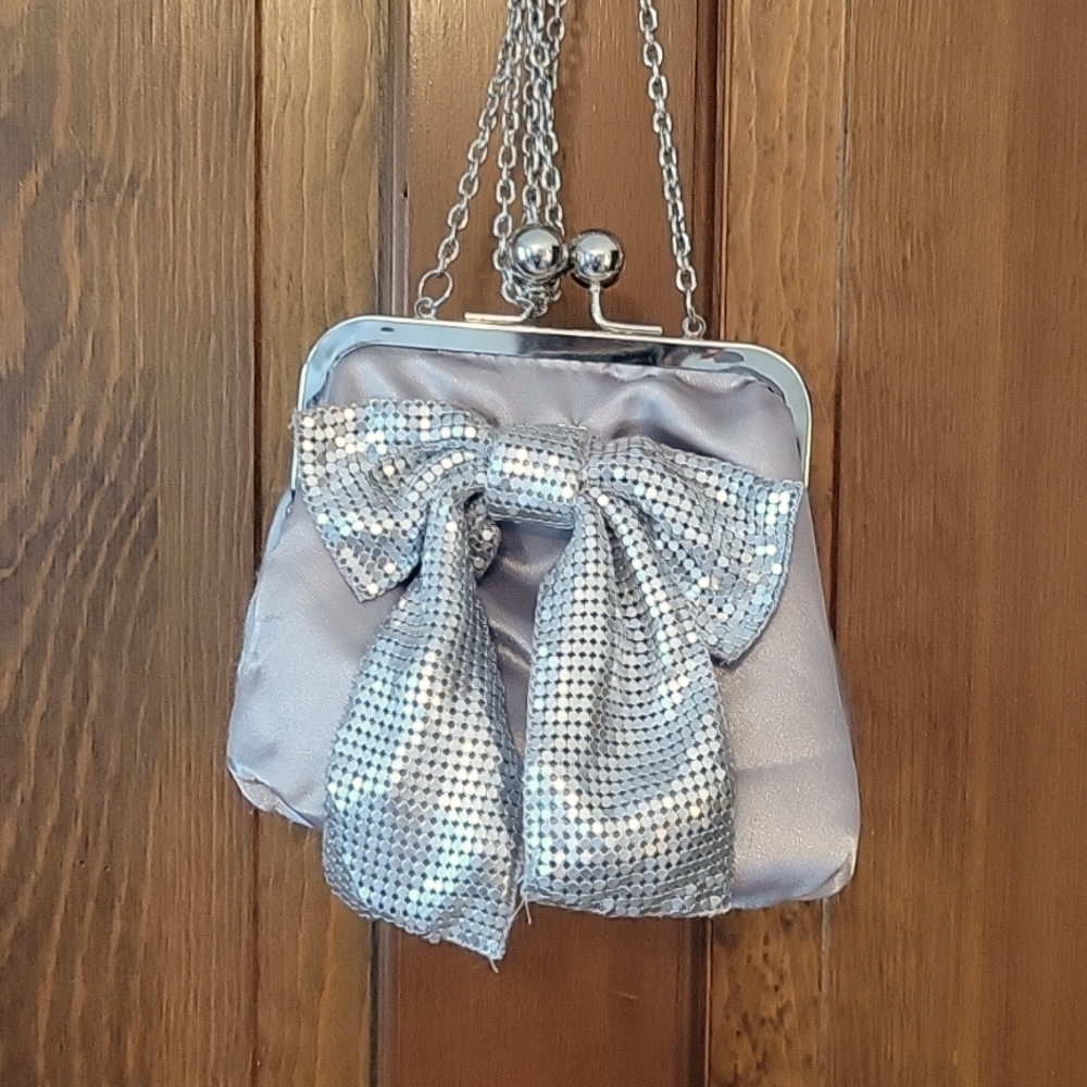 Silver mini purse.